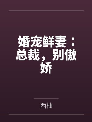 宠妻总裁别太坏txt